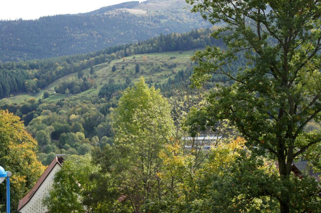 Hotel Restaurant Perle Des Vosges Muhlbach-sur-Munster 외부 사진